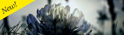 imagemap